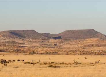 Karoo landscape with wildlife in the foreground at Tiger Canyon Private Game Reserve